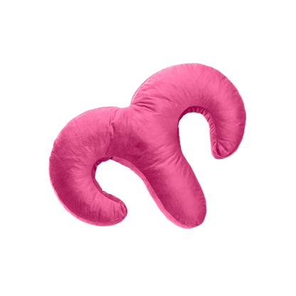 Arie Couples Spooning Pillow